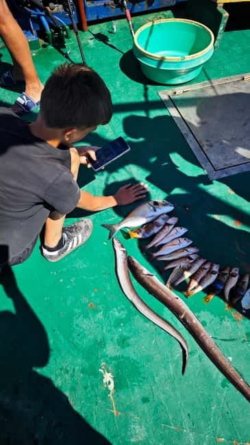 Biograd: Authentic Fishing Tour in Croatia. Kids Love This! - Who Would Love This Experience?
