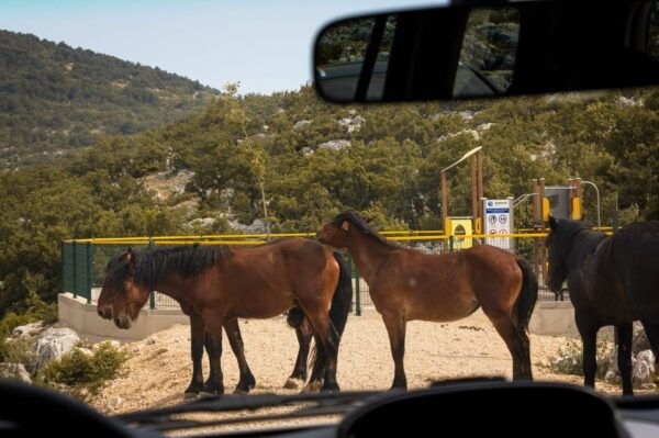 Biokovo Skywalk Jeep Tour: Ultimate Mountain Views - Scenic Highlights of Biokovo