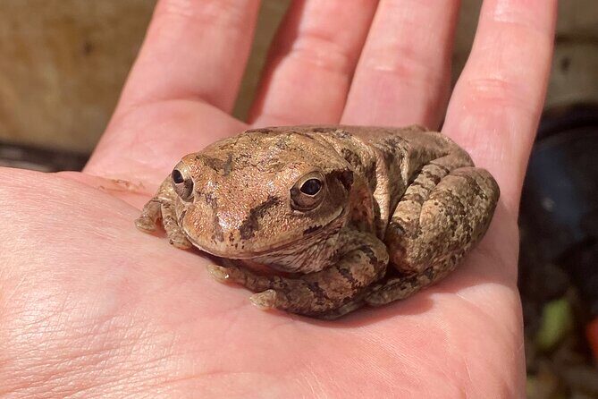 Biologist led Jungle Hike in Sayulita: Explore Natikari Reserve - Good To Know