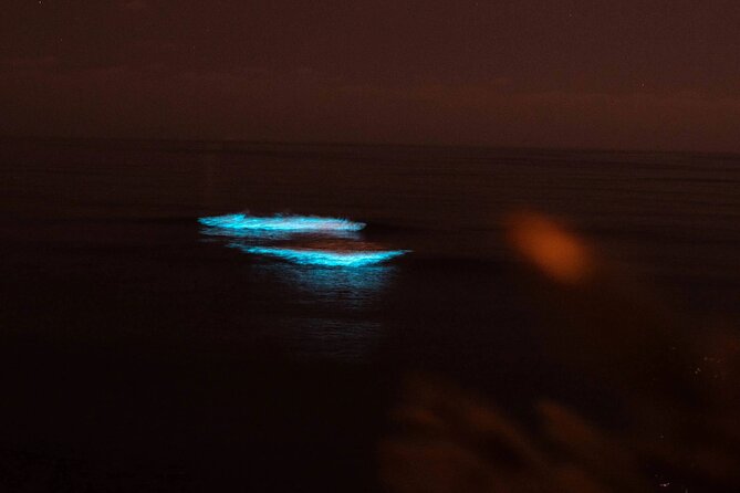 Bioluminecence Night Adventure in Tobago - Choose Between Stand-up Paddle or Kayak