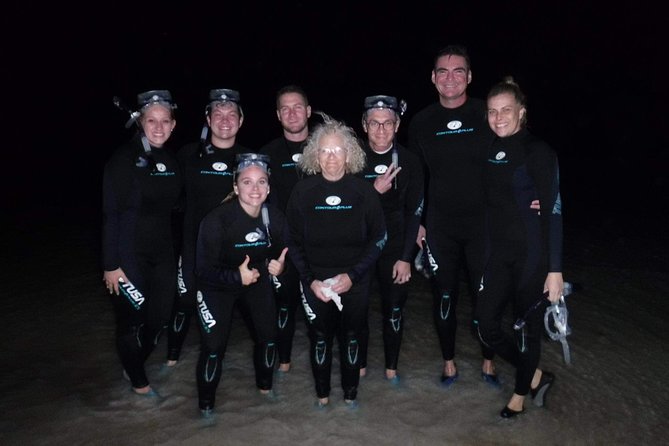 Bioluminescence Experience in Holbox - Marine Creatures Encountered During the Tour