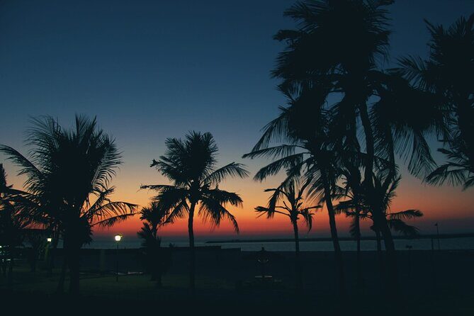 Bioluminescence from Puerto Escondido - Exploring the Bioluminescence from Puerto Escondido: A Detailed Review