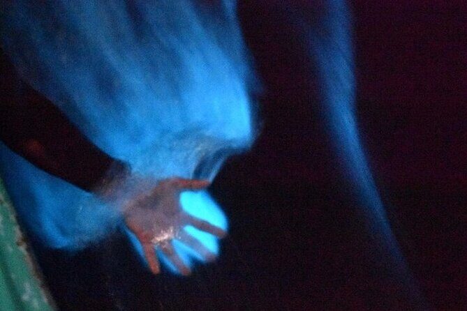 Bioluminescence in Manialtepec Night Tour from Huatulco - Deep Dive into the Experience