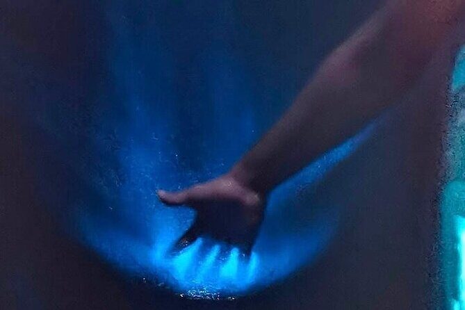 Bioluminescence in Manialtepec Night Tour from Huatulco - Final Thoughts: Is It Worth It?