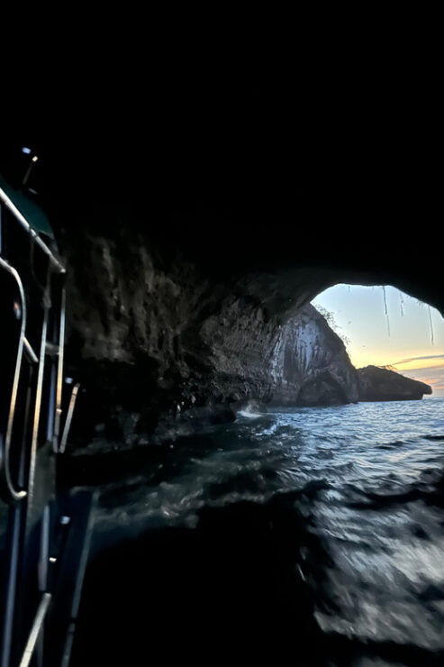 Bioluminescence in the Los Arcos Islands Nature Reserve - Good To Know