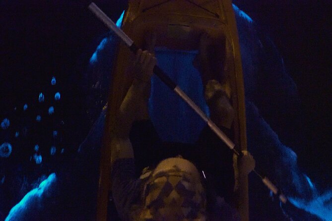 Bioluminescence Kayak Tour - What to Bring and Expect