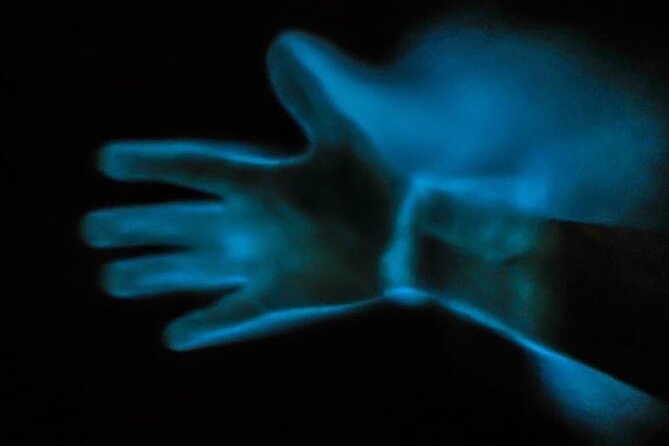 Bioluminescence Kayak Tour - Customer Experiences and Reviews