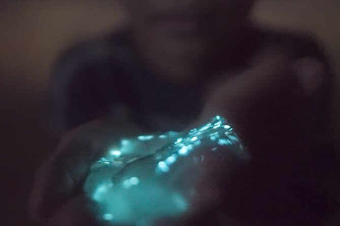 Bioluminescence Kayak Tour - Kayaking Highlights
