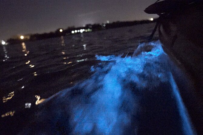 Bioluminescence Kayak Tour - Common Questions