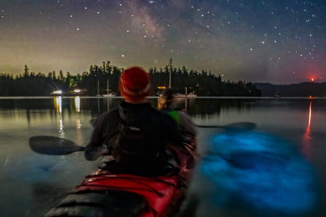 Bioluminescence Kayak Tour at Fort Flagler State Park - An In-Depth Look at the Bioluminescence Kayak Tour