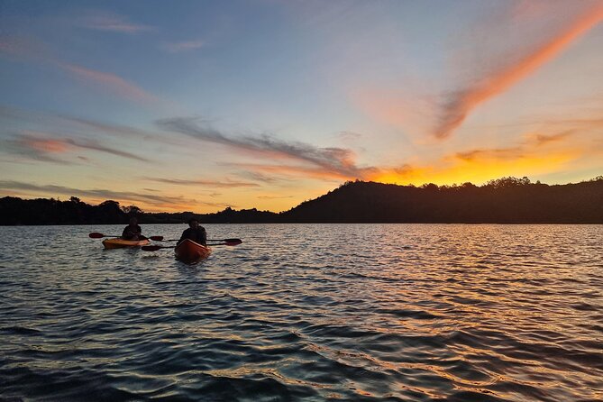 Bioluminescence Kayak Tour - Overview and Experience