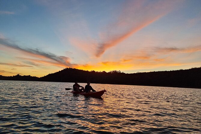 Bioluminescence Kayak Tour - What to Expect