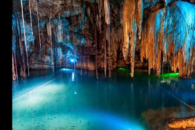 Bioluminescence Lagoon Tour from Montego Bay with Pick Up - Introduction: A Glowing Night in Jamaica