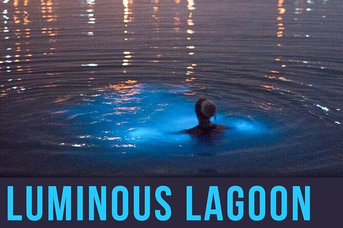 Bioluminescence Lagoon Tour from Montego Bay with Pick Up - Additional Details: Practical Tips and Insights