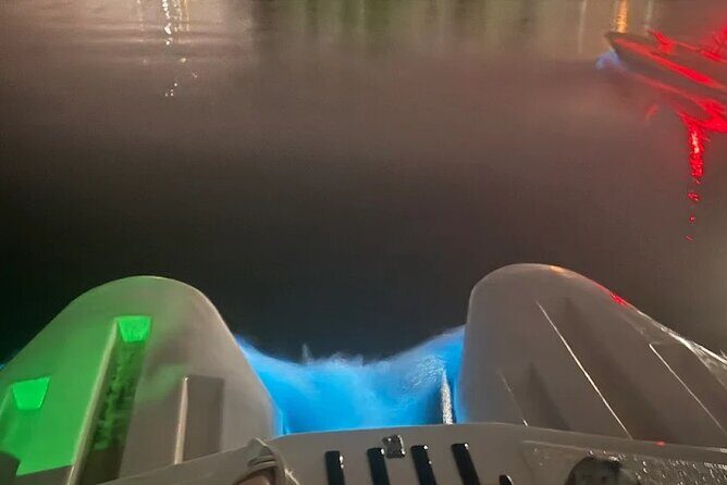 Bioluminescence Night Craigcat Tours - Good To Know