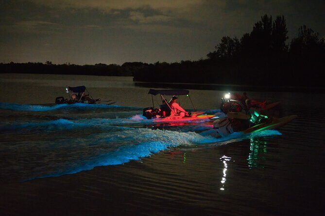 Bioluminescence Night Craigcat Tours - An In-Depth Look at the Tour Experience
