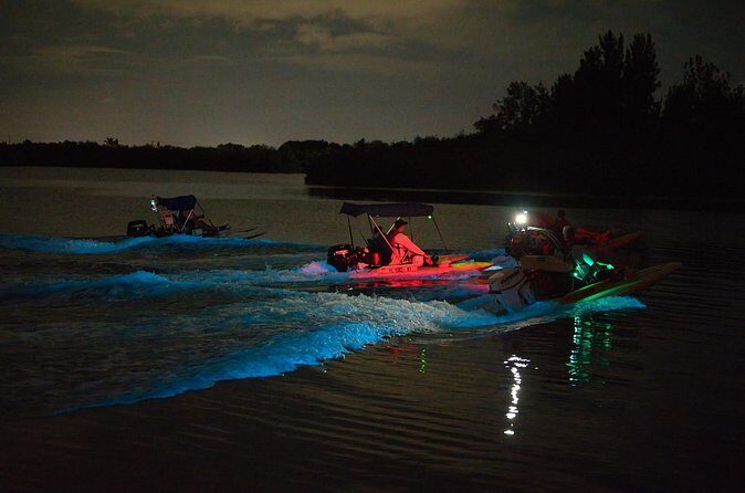 Bioluminescence Night Craigcat Tours - Frequently Asked Questions