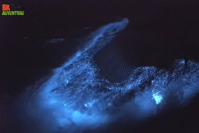 Bioluminescence Night Kayaking Tour of Merritt Island Wildlife Refuge - Meeting and Pickup
