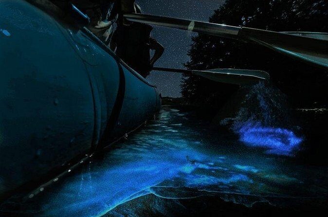 Bioluminescence Rafting Tour Cocoa Beach - Who Should Consider This Tour?
