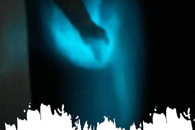 Bioluminescence swim with stars - Good To Know