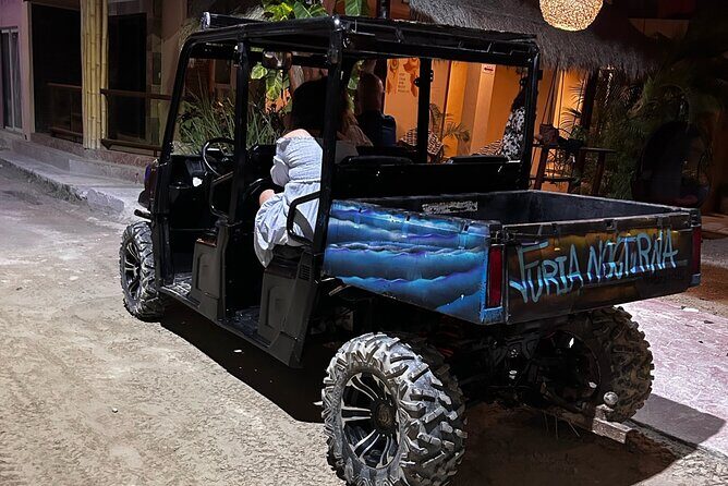 Bioluminescence Tour by Car at Holbox - FAQs