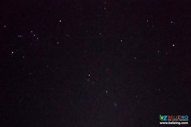 Bioluminescence Tour & Sunset River Cruise - Tour Highlights