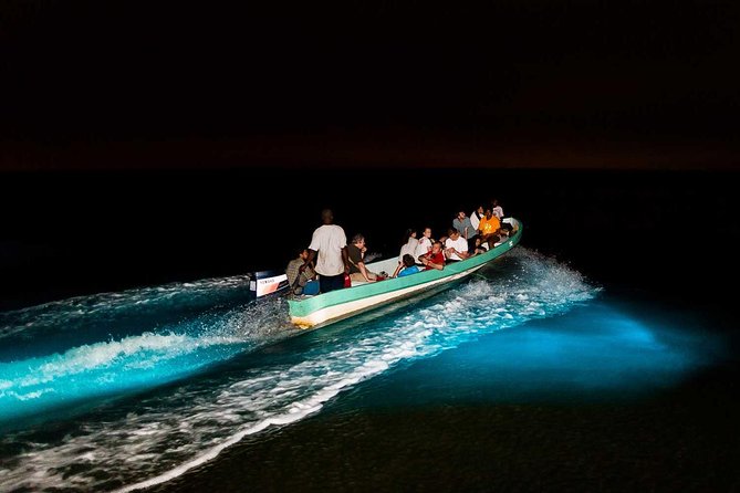 Bioluminescence Tour & Sunset River Cruise - Experience Details