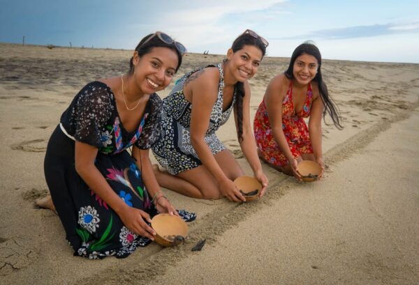 Bioluminescence & Turtle Release From Huatulco or Puerto Escondido - Tour Highlights and Experiences
