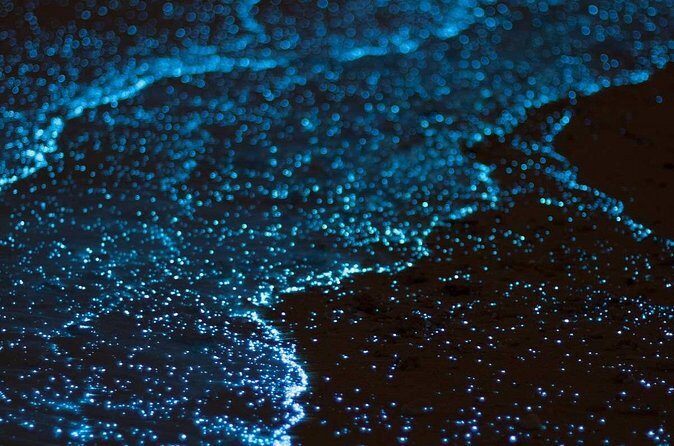 Bioluminescent Bay Adventure in Grand Cayman - The Sum Up