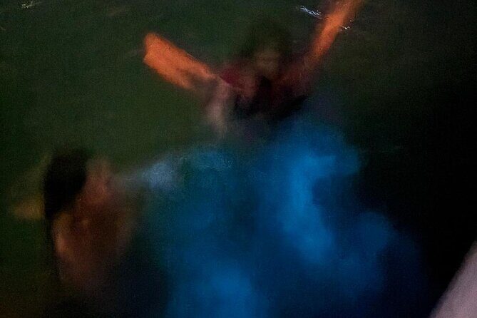 Bioluminescent Bay Boat Charter in Grand Cayman - Good To Know
