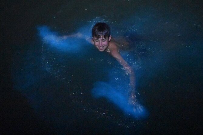 Bioluminescent Bay Boat Charter in Grand Cayman - An In-Depth Look at the Bioluminescent Bay Boat Tour