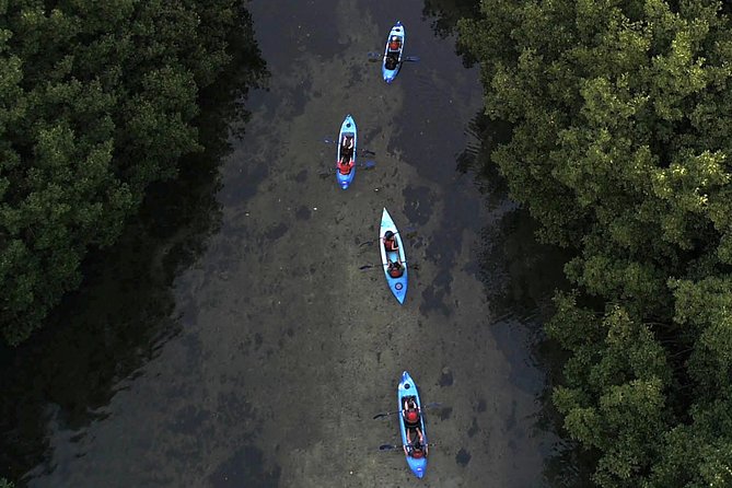 Bioluminescent Bay Kayak Adventure From San Juan - Tour Overview and Itinerary