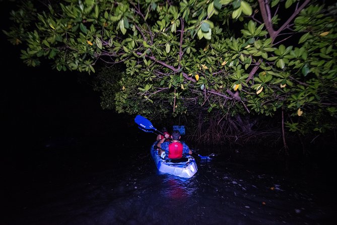 Bioluminescent Bay Kayak Adventure From San Juan - Inclusions and Equipment Provided