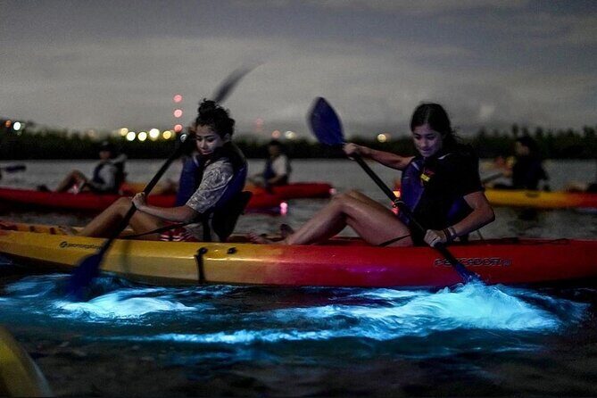Bioluminescent Bay Kayak Tour in Fajardo Puerto Rico - Discover the Magic of Puerto Rico’s Bioluminescent Bay Kayak Tour