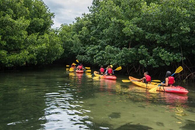 Bioluminescent Bay Kayak Tour in Fajardo Puerto Rico - Practical Details and Considerations