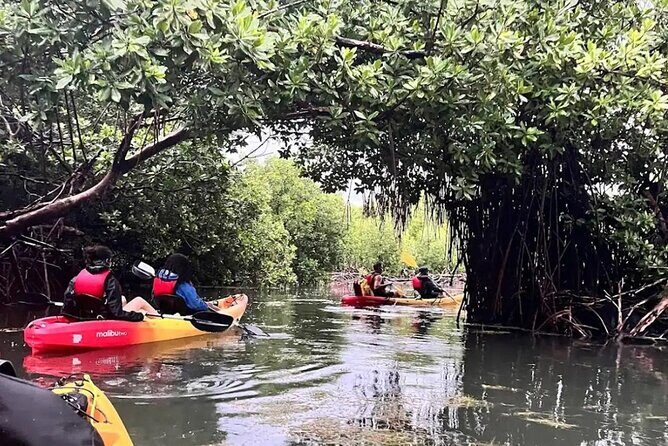 Bioluminescent Bay Kayak Tour in Fajardo Puerto Rico - Final Thoughts