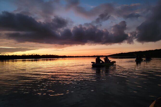 Bioluminescent Bay Night Kayaking Adventure in Puerto Rico - Good To Know