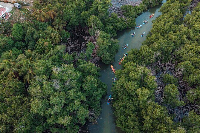 Bioluminescent Bay Night Kayaking Adventure in Puerto Rico - Final Verdict