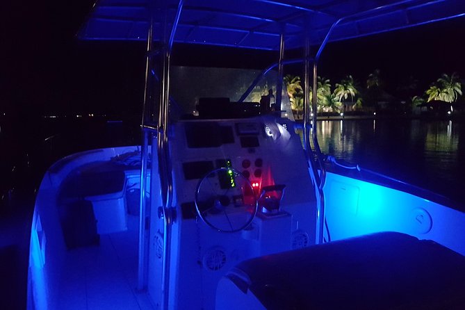 Bioluminescent Bay Nighttime Snorkeling Tour From Grand Cayman - Overview of the Tour