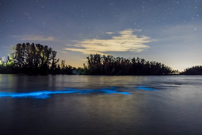 Bioluminescent Clear Kayak Tours in Titusville - Mesmerizing Bioluminescent Creatures