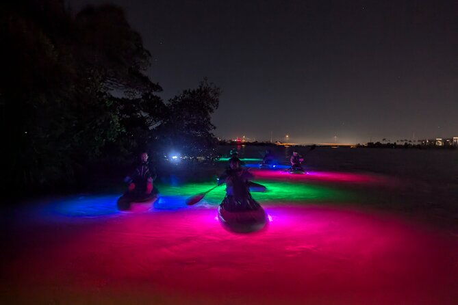Bioluminescent Comb Jelly & LED Kayak / Paddle board Excursion - In-Depth Breakdown of the Tour Experience