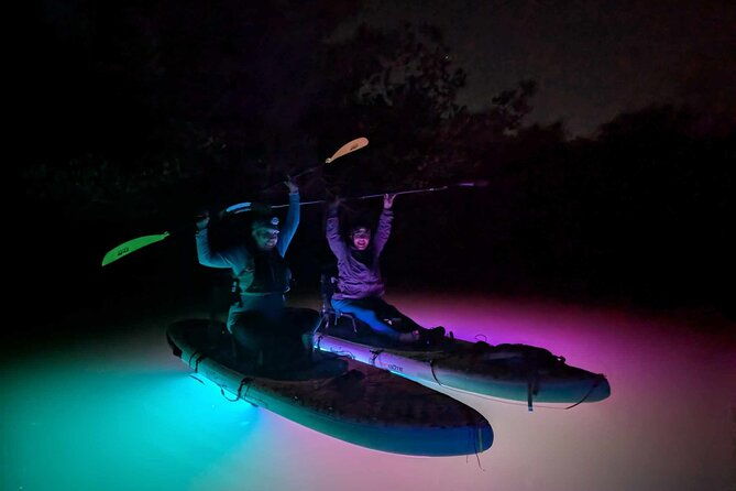 Bioluminescent Comb Jelly & LED Kayak / Paddle board Excursion - Who Should Consider This Tour?