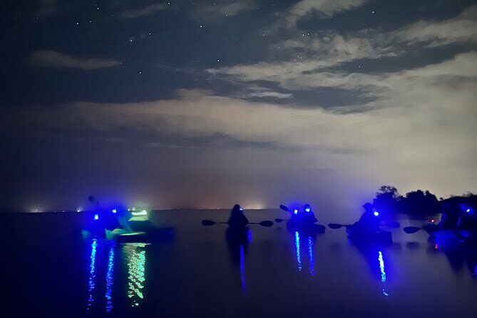 Bioluminescent Kayak Tour in Floridas Indian River Lagoon - Good To Know