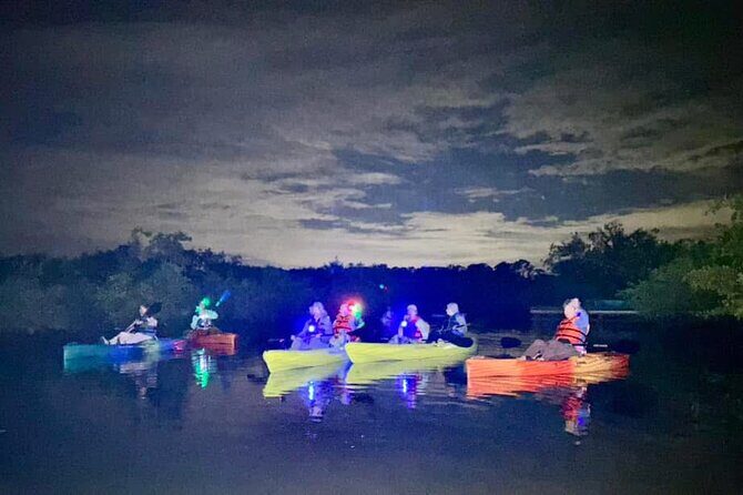 Bioluminescent Kayak Tour in Floridas Indian River Lagoon - Why This Tour Offers Great Value