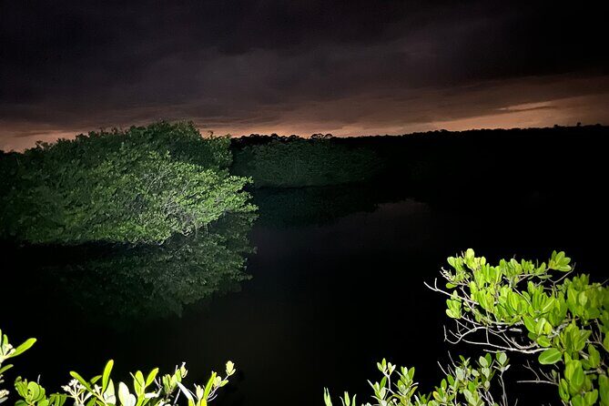 Bioluminescent Kayak Tour in Floridas Indian River Lagoon - Frequently Asked Questions