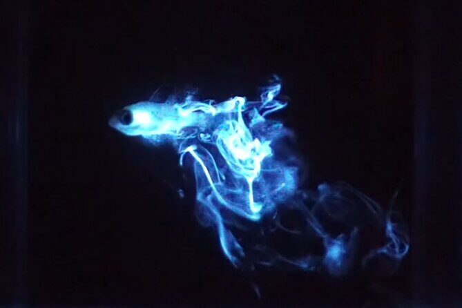 Bioluminescent Night Snorkeling - The Sum Up: Is It Worth It?