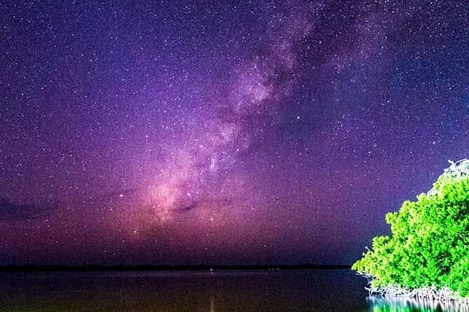 Bioluminescent Night Tour - Common Questions