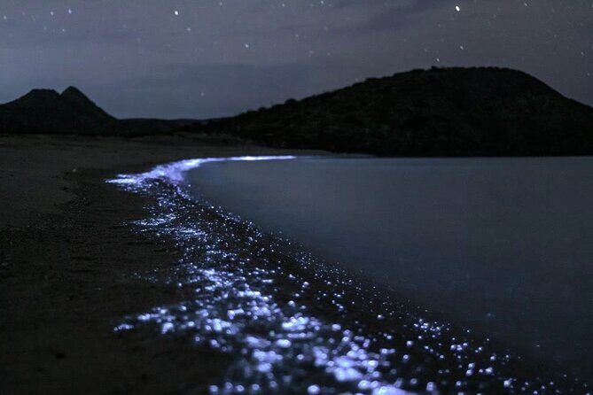 Bioluminescent Plankton Kayak Boat Tour - Good To Know