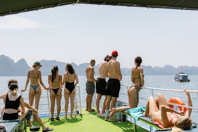 Bioluminescent Plankton Kayak Boat Tour - An In-Depth Look at the Tour Experience