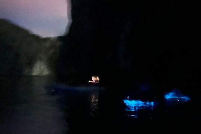 Bioluminescent Plankton Kayak Boat Tour - Final Thoughts: Is It Worth It?